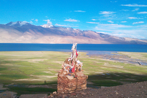 changthang plateau, changthang ladakh