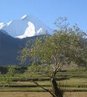 suru valley, suru valley in ladakh india