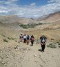 snow leopard trace, snow leopard trek in ladakh