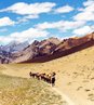 rumtse tsomoriri trek, rumtse to tsomoriri ladakh