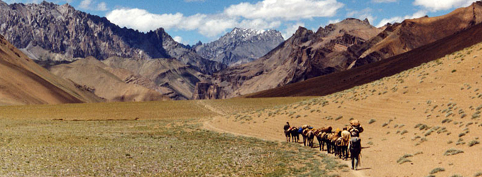rumtse tsomoriri trek in ladakh